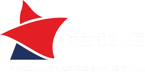 Asentus Logo